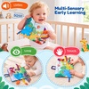 JoyCat Crinkle Books for Babies 2PCS- Tummy Time Toys for Infant Newborn, Soft Sensory Crinkle Cloth Books Touch and Feel for Boys Girls (Ocean+Farm)(Jungle+Forest Picnic)